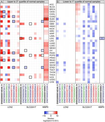 Bioinformatic analysis of the LCN2–SLC22A17–MMP9 network in cancer: The role of DNA methylation in the modulation of tumor microenvironment